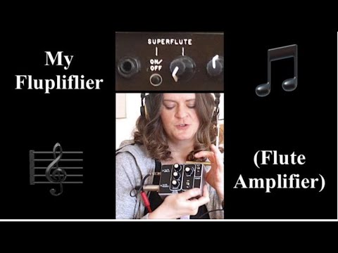 My Flupliflier (Flute Amplifier) #shorts