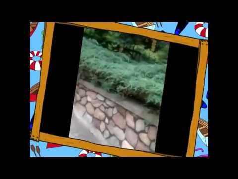 Gąsiorowo - U Gieni