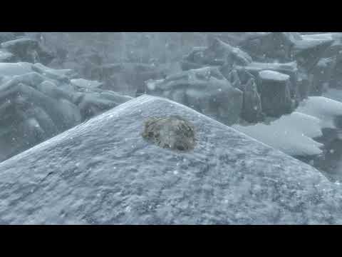 UNSLAAD Soundtrack - Stairway to Llesw'er (Credits)