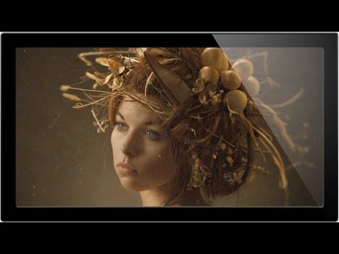 How to Set Up and Use a Wacom Tablet