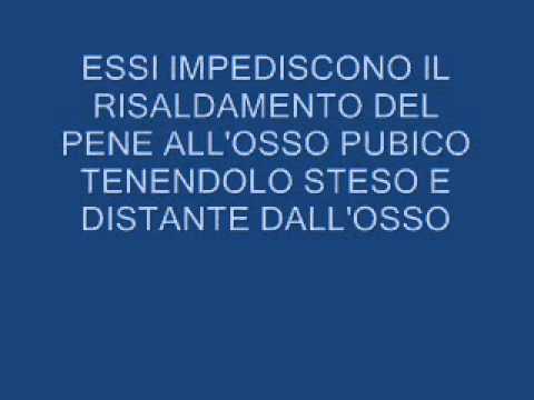 Aumentare prova creme membro Comprare il farmaco per aumentare la potenza per gli uomini