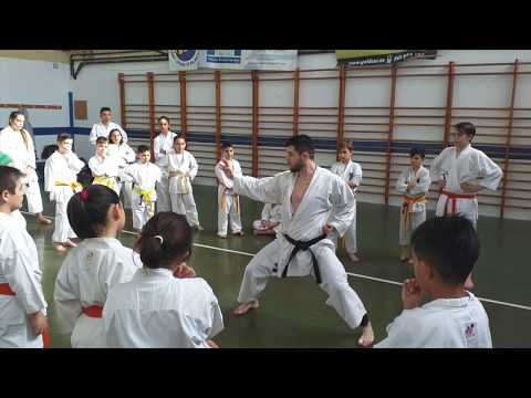 Karate JKS España