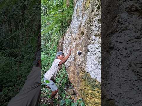 Wow, there are animals in the rock hole #videoshort