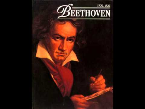 Beethoven - Symphony No. 5 in C minor 'Fate' - 1st movement