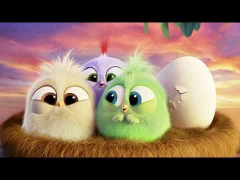 Angry Birds (Viral Video 'The Hatchlings Thank You')