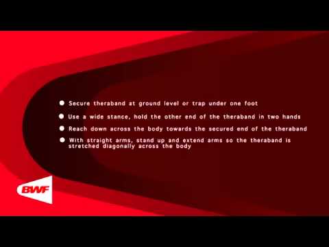 CE2M8V64 Theraband Exercises   Low to High Chops 2