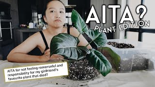 AITA #1 - let's read plant stories and judge them 🍵
