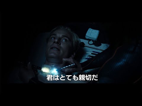 テルマトビウス sp.