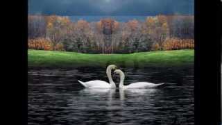 KUŞLAR(remix) ÖMER KARAOĞLU-Ezgi- KUŞLAR (Remix)