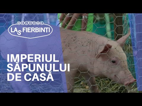 Imperiul lui Giani din săpun de casă! | LAS FIERBINȚI 2022