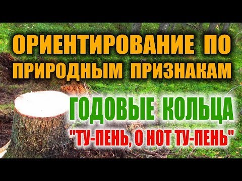 ОРИЕНТИРОВАНИЕ НА МЕСТНОСТИ ПО ГОДОВЫМ КОЛЬЦАМ ДЕРЕВЬЕВ. Как определить север