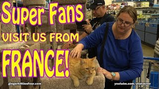 Superfans Visit PetSmart With Zeus & Phoebe!