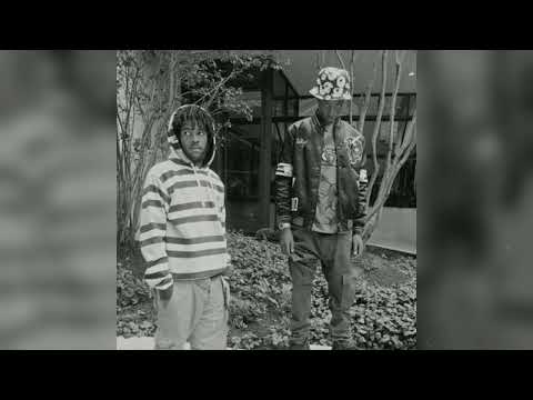 (FREE) Joey Bada$$ x Capital Steez Type Beat 2025 | LOST BROTHER (prod. Will The Cook)