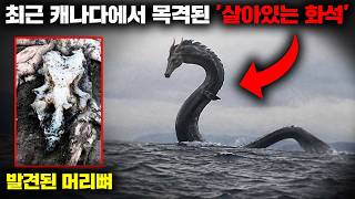 최근까지도 끊임없이 목격되고 있는 사슴머리를 한 거대 바다뱀 괴수 [미스터리]