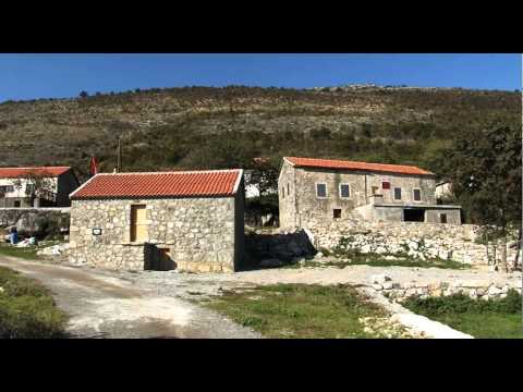 KENDON LINDON GJELAJ - NOSH MARK KOLS LULGJURAJ