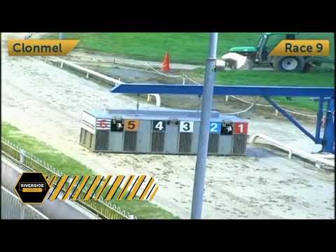 Newinn Taylor - Larry O'Rourke National Produce Stakes Rnd 2