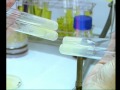 Técnicas Básicas de Microbiología