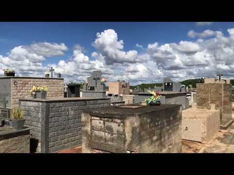 Assista ao vídeo