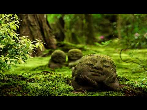 Traditional Japanese Music | Forest Spirits | Japanese Koto & Shakuhachi