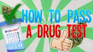 How to Pass a Drug Test