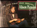 Alison Krauss ~ Endless Highway (Vinyl) 