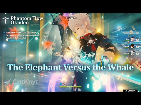 Probably a 5 Star Showcase | Phantom Flow | The Elephant vs The Whale - Okuden | Genshin Impact 2.0