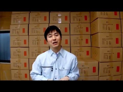 テンパール プラグ形漏電遮断器ビリビリガード 通販 解説