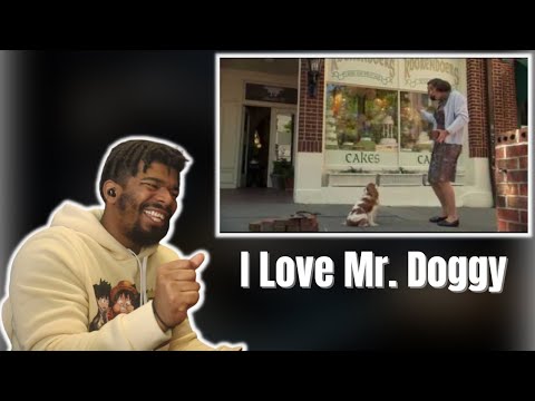 AMERICAN REACTS TO Little Britain - Mr Doggy