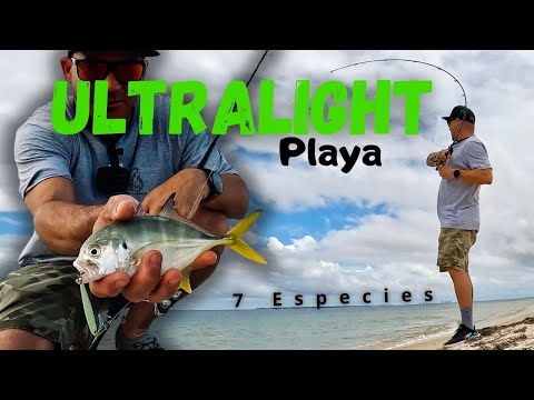 ¡Mira lo que pesqué en la orilla de la playa!