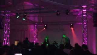 Joyce Manor - Schley / Heart Tattoo / The Jerk / Constant Headache - (Live at The Well, 2/7/2015)