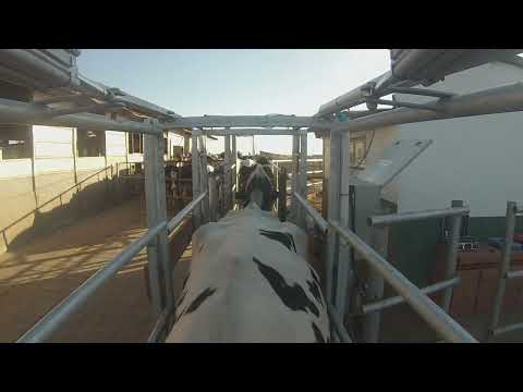 Apartador automático - Video 3