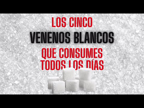 ¿Conoces los cinco venenos blancos que consumimos todos los días?