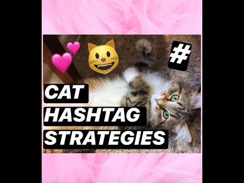 Cat Hashtag Strategies