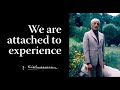 We Are Attached To Experience Krishnamurti