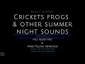 Black Screen 10 Hours - Crickets and Frogs - Summer Night Sounds - Cricket Sounds - Frog Sounds - V4