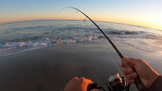 Surf Fishing into the Dark - Halloween Edition