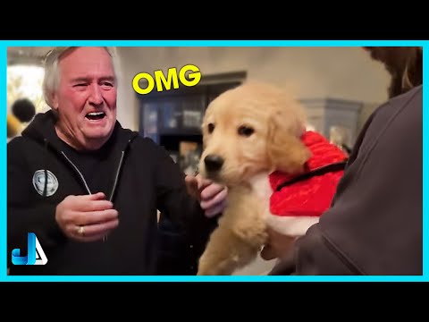 💕 Surprising parents with their dream dog | New Puppy Surprise Compilation