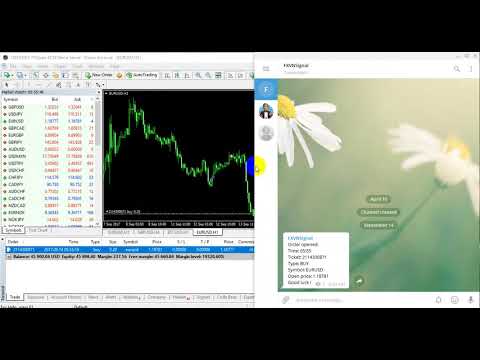 Video Notify To Telegram