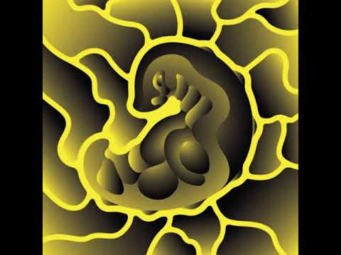 MNMT Premiere: Forest Drive West – Phosphenes (Wata Igarashi Remix)