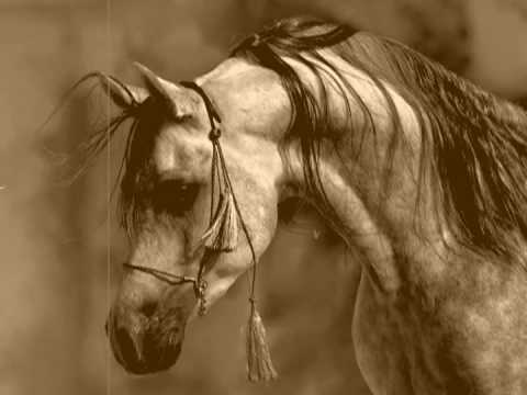 GRUPO LABERINTO -EL MORO Y EL MELON