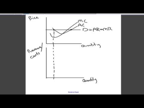 Firm Objectives in Perfect Competition - Sandra Qian