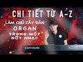 ĐÀN ORGAN KURTZMAN K250