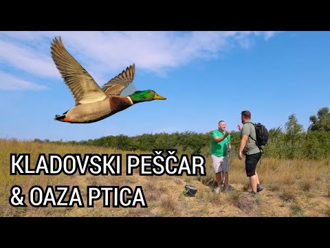 Oaza ep.41 - Kladovski peščar & oaza ptica