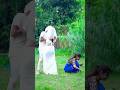 Video Ankush Raja संतोष पागल Santosh Pagal Anisha Pandey Shivani Singh Funny Song