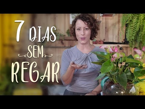 How to WATER PLANTS when TRAVELING