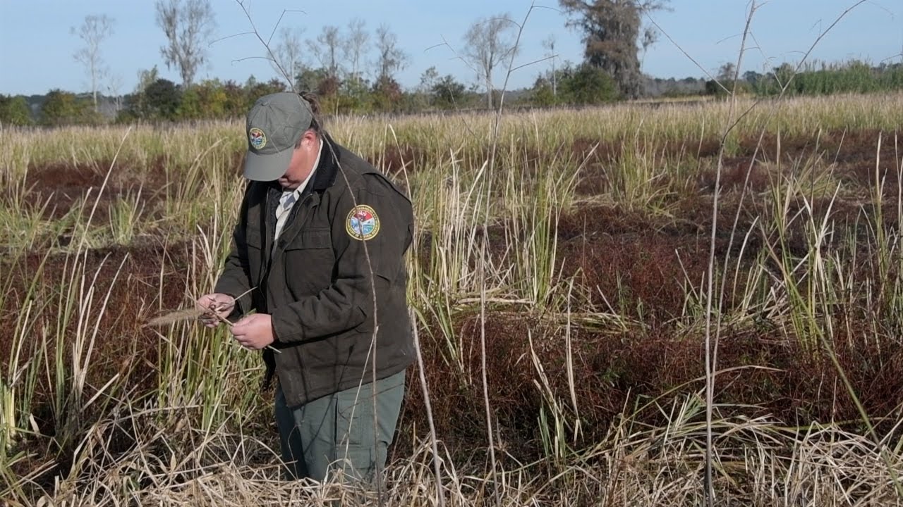 SCDNR Category I Waterfowl Area Update