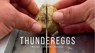 Cutting Rocks • What’s Inside Thundereggs