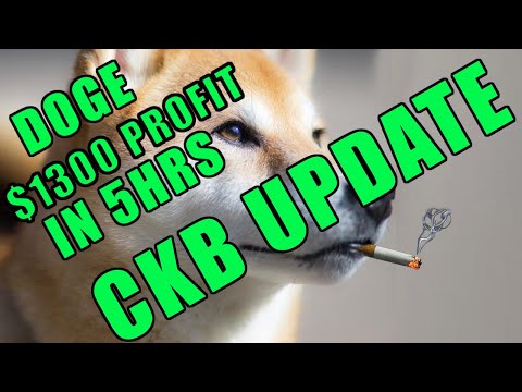 $1300 Profit on DOGE / CKB UPDATE