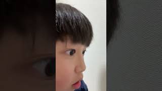 進撃の巨人#復讐