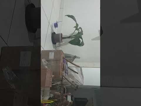 17 de setembro de 2023